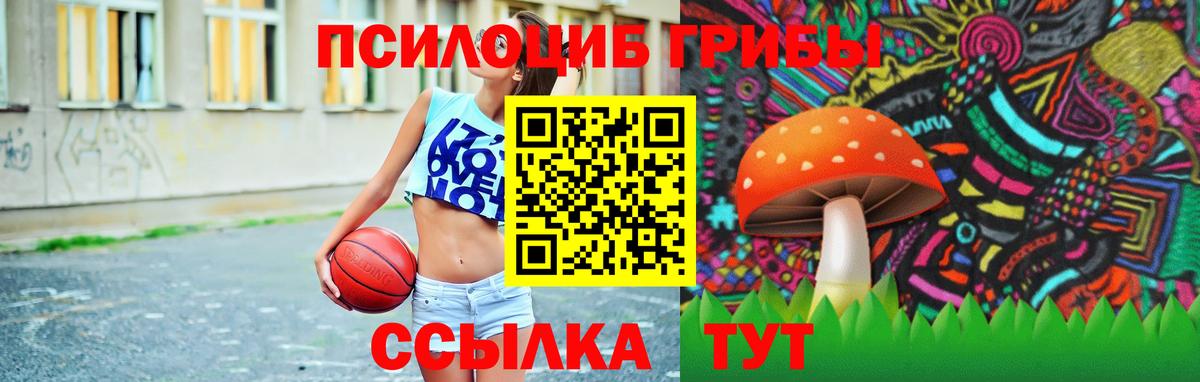 Псилоцибиновые грибы Psilocybe Ялта